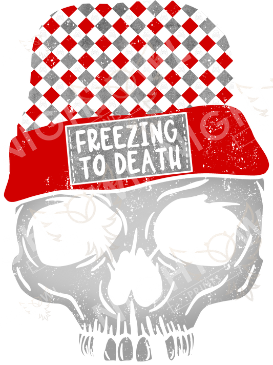 Freezing to Death Skull DTF Transfer.